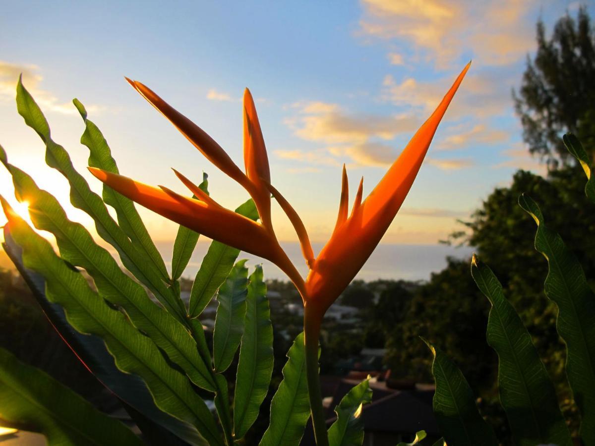 Bounty Lodge Tahiti Arue  Exteriör bild